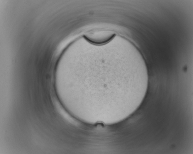 X0000113941523200910161903