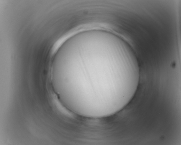 X0000113941524200910161903