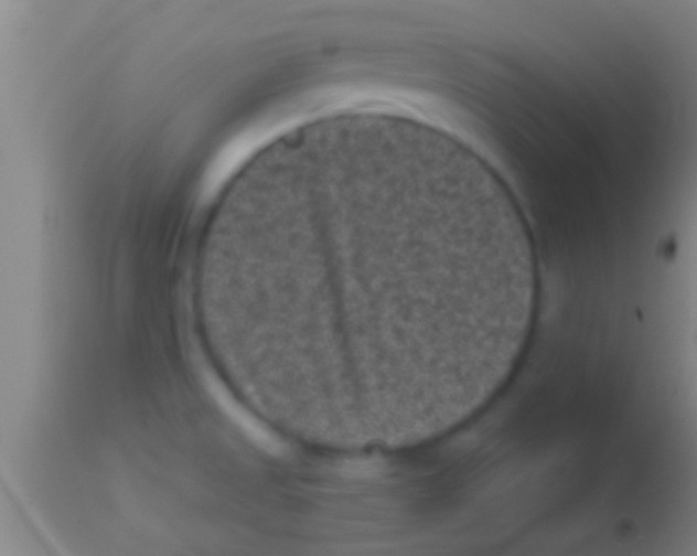 X0000113941525200910161903