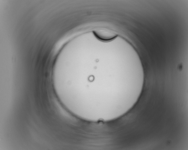 X0000113941526200910161903