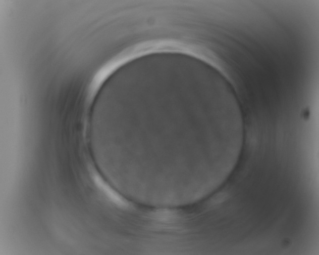 X0000113941527200910161903