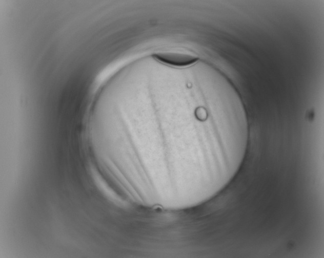 X0000113941528200910161903