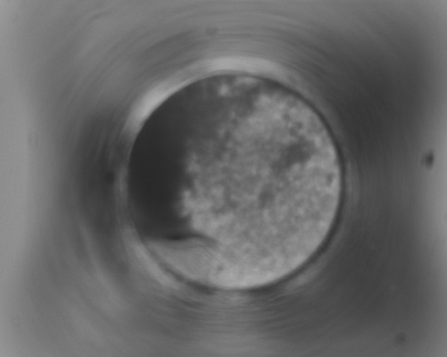 X0000113941529200910161903