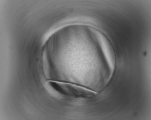 X0000113941530200910161903