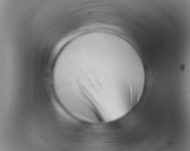 X0000113941531200910161903