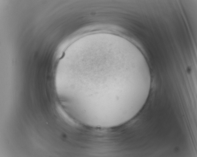 X0000113941532200910161903