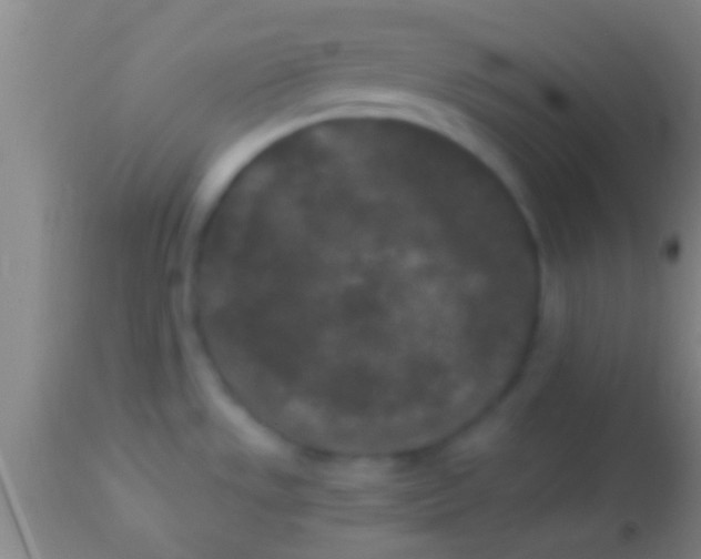 X0000113941533200910161903