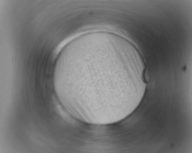 X0000113941534200910161903