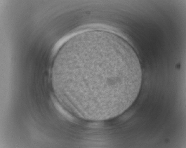 X0000113941535200910161903