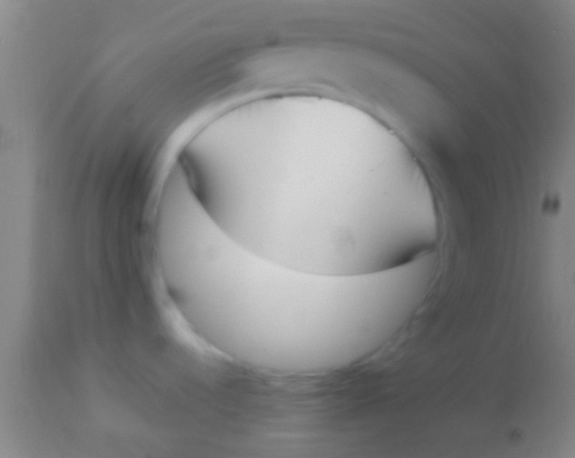 X0000113941536200910161903