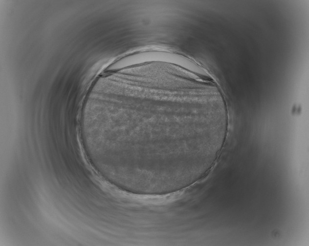 X0000113940001200910231954