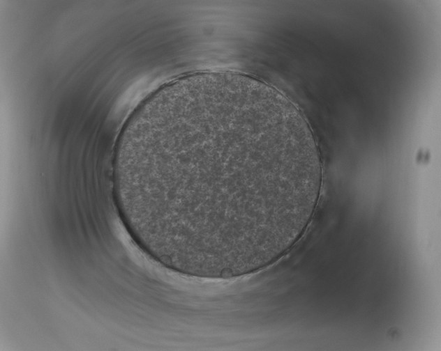 X0000113940002200910231954