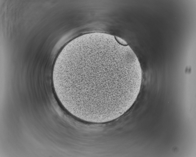 X0000113940004200910231954