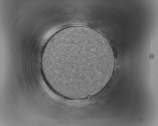 X0000113940005200910231954
