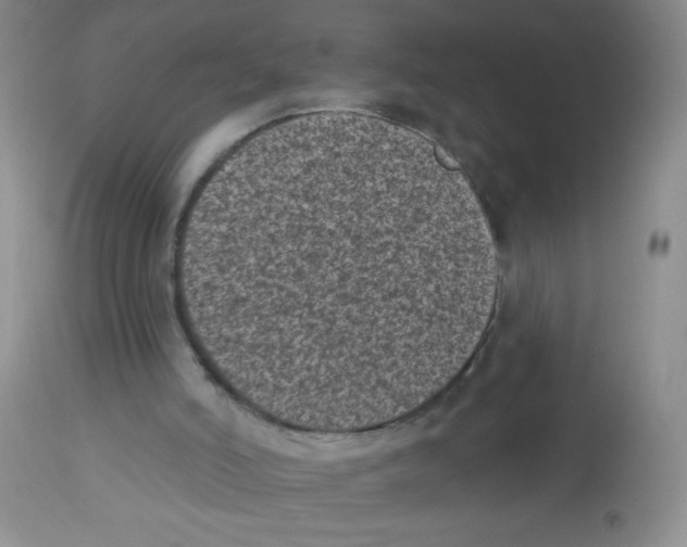 X0000113940006200910231954