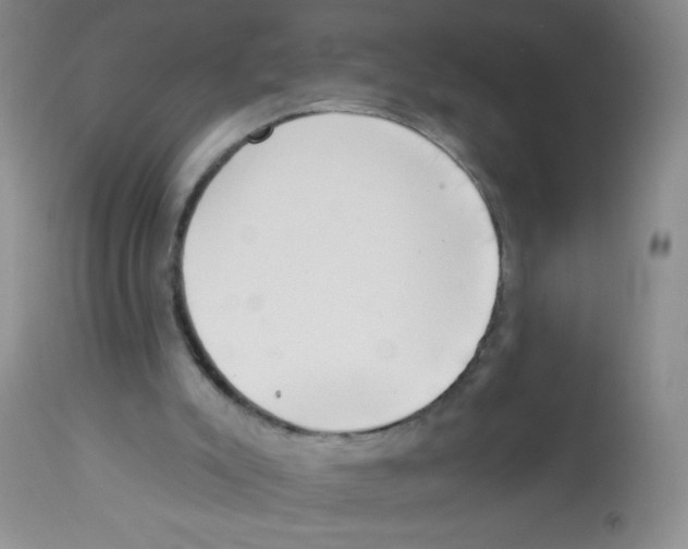 X0000113940007200910231954