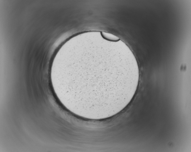 X0000113940008200910231954