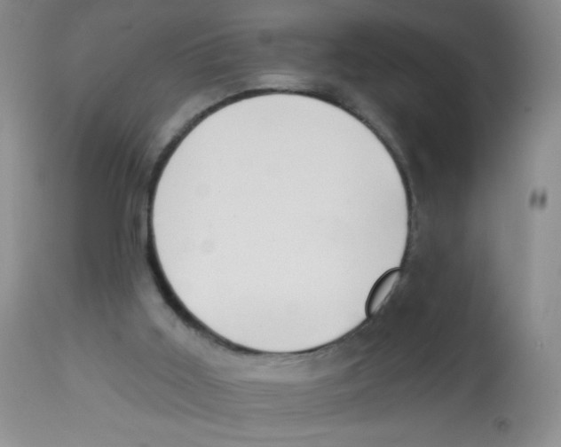 X0000113940011200910231954