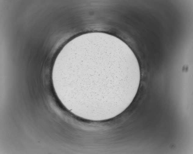 X0000113940012200910231954
