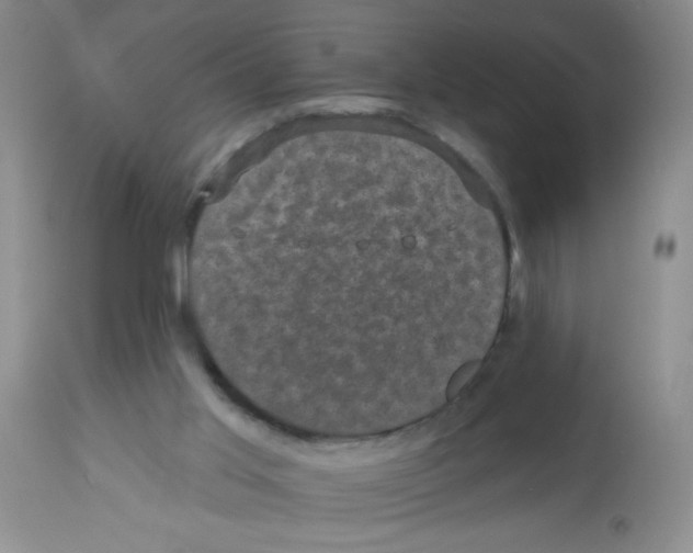 X0000113940013200910231954