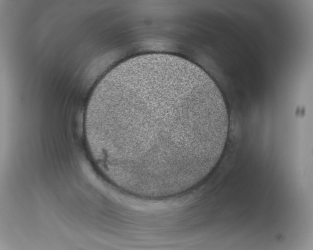 X0000113940014200910231954