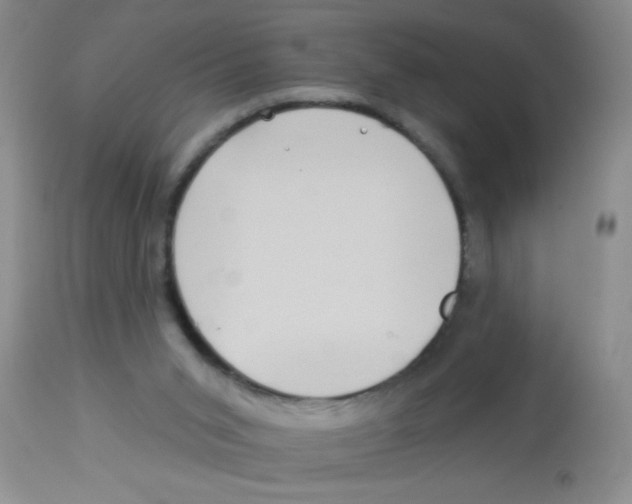 X0000113940015200910231954