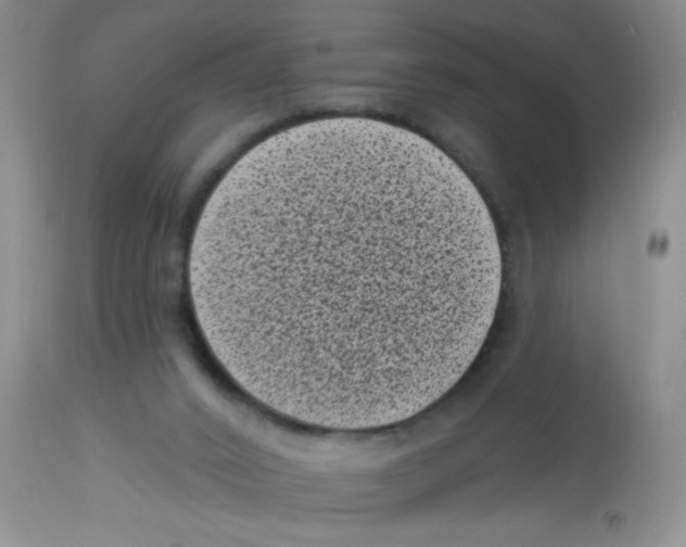 X0000113940016200910231954