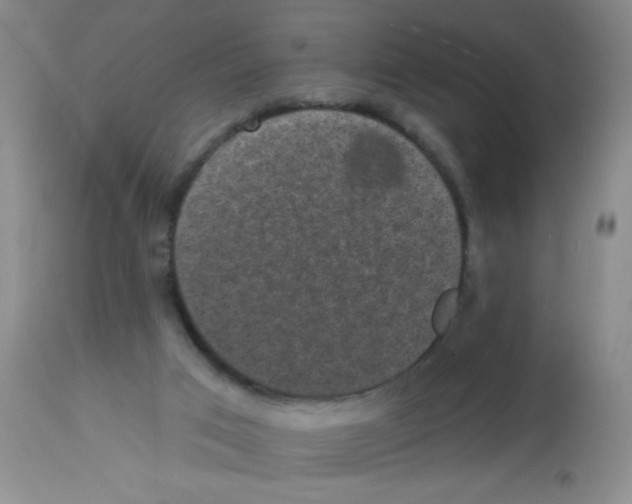 X0000113940017200910231954