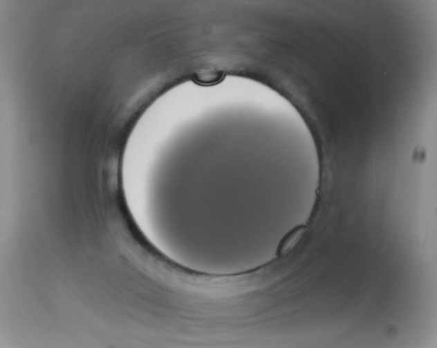 X0000113940019200910231954