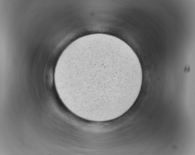 X0000113940020200910231954