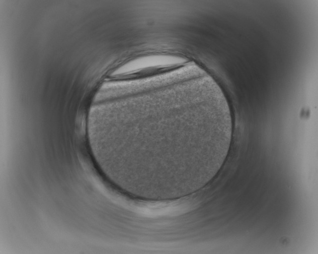 X0000113940021200910231954