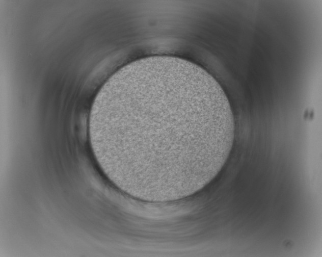 X0000113940022200910231954