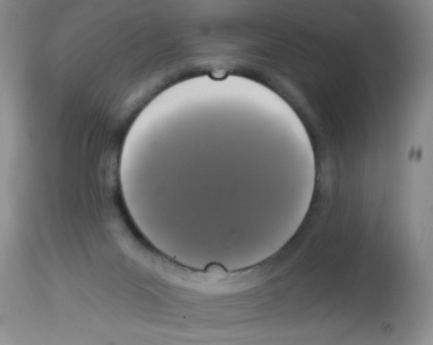 X0000113940023200910231954