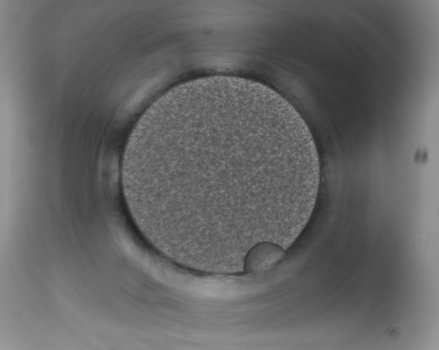 X0000113940024200910231954