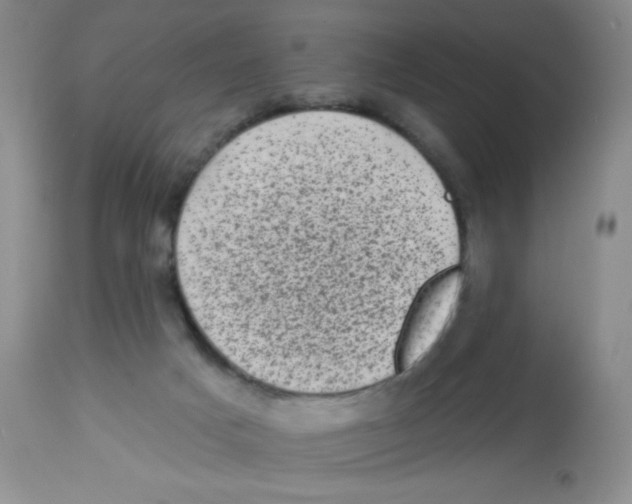X0000113940025200910231954
