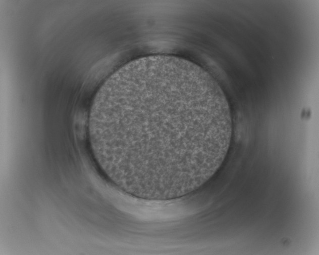 X0000113940026200910231954