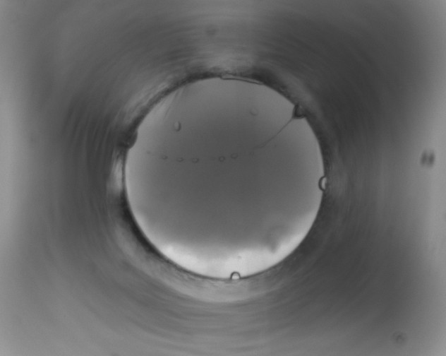 X0000113940027200910231954