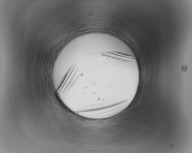 X0000113940029200910231954
