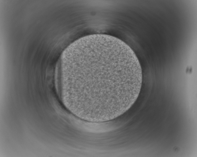 X0000113940030200910231954