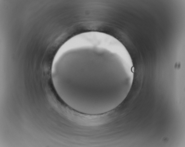 X0000113940031200910231954