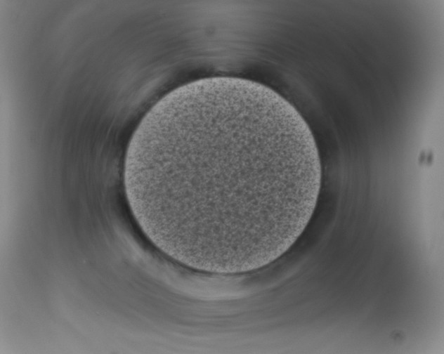 X0000113940032200910231954