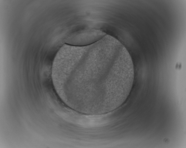 X0000113940033200910231954