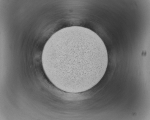 X0000113940034200910231954