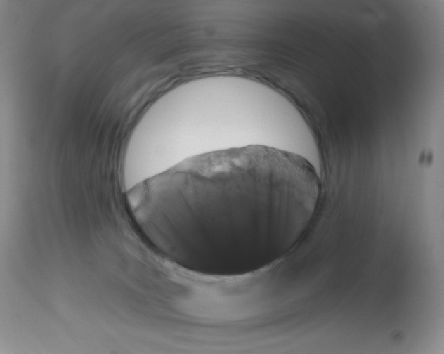 X0000113940035200910231954