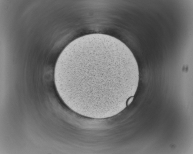 X0000113940036200910231953