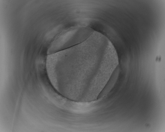 X0000113940037200910231953
