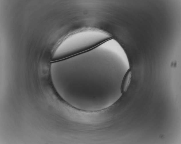 X0000113940039200910231953