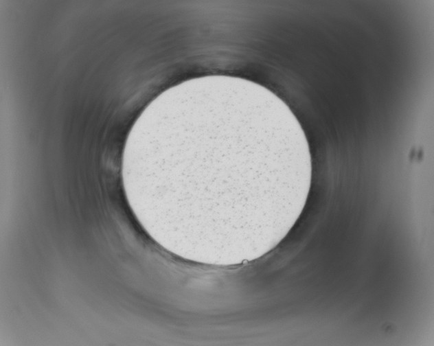 X0000113940040200910231953