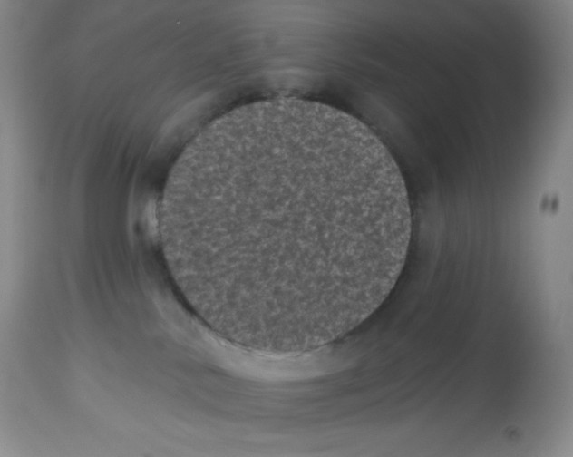 X0000113940042200910231953