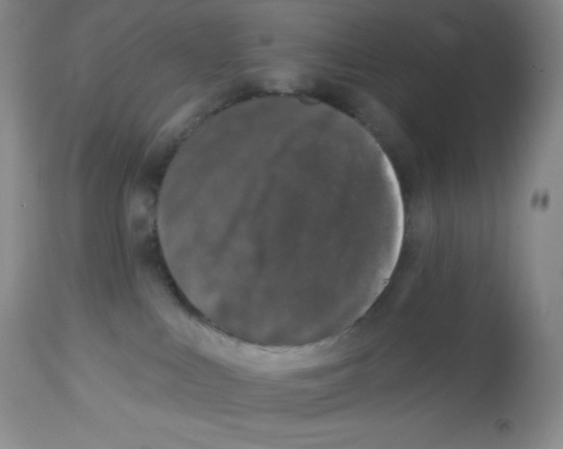 X0000113940043200910231953